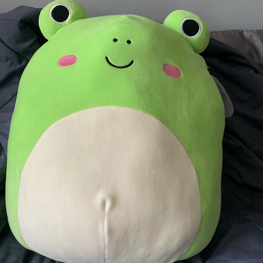 Wendy squishmallow